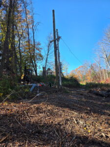 Utility pole work site in the woods on a clear autumn day